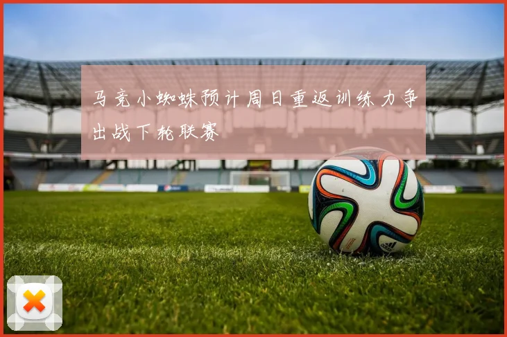 马竞小蜘蛛预计周日重返训练力争出战下轮联赛