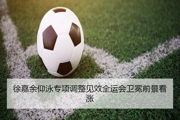 徐嘉余仰泳专项调整见效全运会卫冕前景看涨